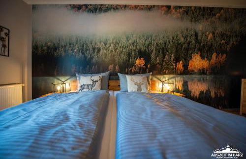 Auszeit-im-Harz Haus 5 Wohnung 25 - Foto 14