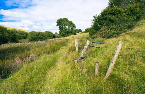 Ta Mill Cottages & Lodges - Pump Cottage - Foto 36