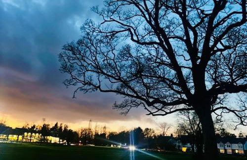 GerrardsCross - Stay4 - Parking - PetsOK - Wembley - Photo 30