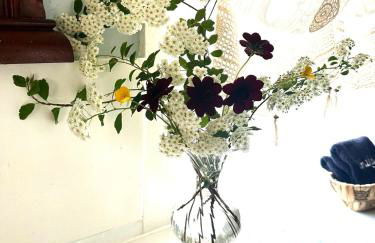 Recharge at Tranquil Sea Salt Cottage in Historic Wiscasset - Foto 17