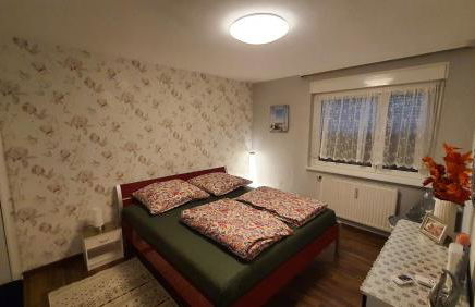 Two-Bedroom Apartment near Triberg Waterfall - Foto 9