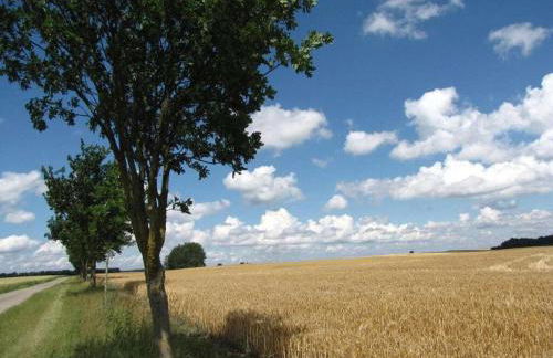 Pongratz Comfortable holiday residence - Foto 19