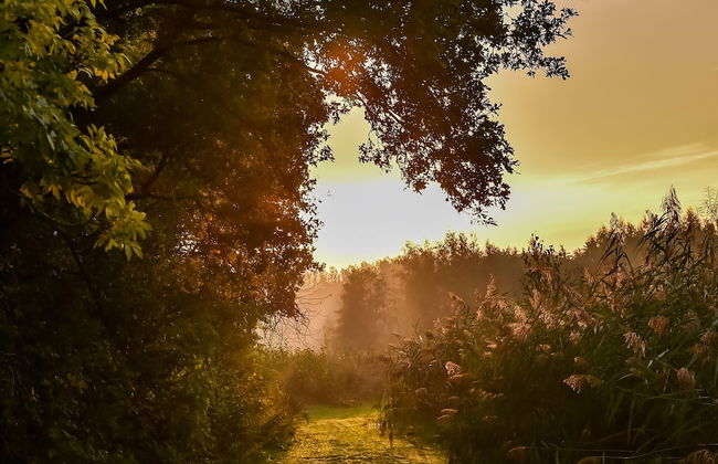 Wellness Lodge With Sauna and Wonderful Views - Foto 63