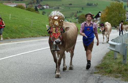 Huberhof Morgensonne - Foto 18