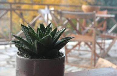 Petradi Residence @ Agoriani-Parnassus - Foto 13