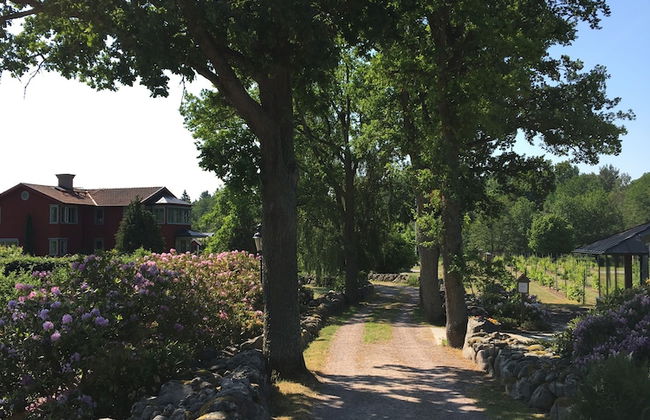 Åmund Vin & Fruktgård - Foto 48