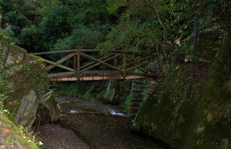 Piódão Casa do Rosmaninho TER - Foto 4