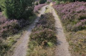 Ferienhaus Klinger - Photo 13