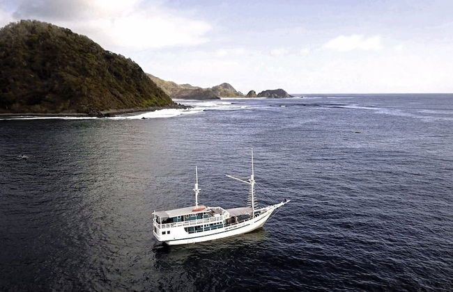 Royal Fortuna - Photo 14