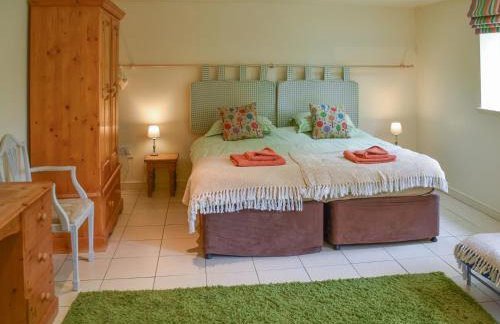 Lily Pad 5 - Uk43913 - Foto 5