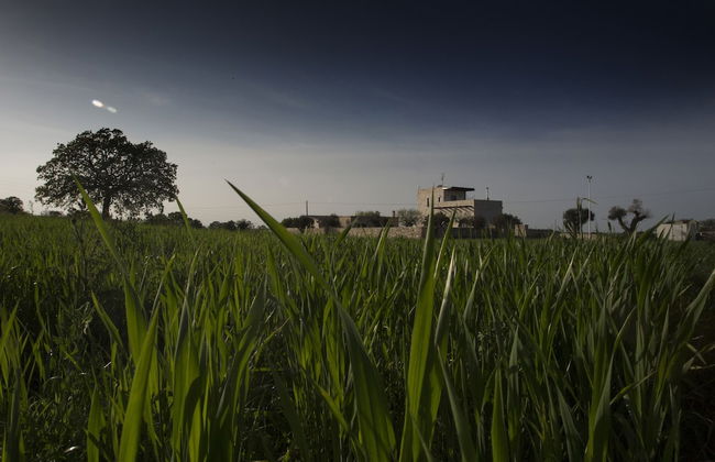 Masseria Stella - Foto 21