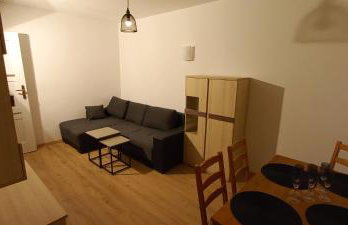 Apartament JUKI 2, obok Katowice Wynajem na doby, krótkoterminowy, 2 pokoje, możliwość dodatkowych dwóch osób na rogówce w salonie za dodatkową opłatą, 37m2,- po kapitalnym remoncie, Wifi - Foto 10