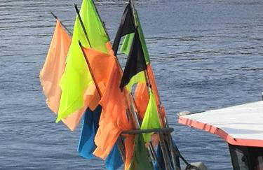 La Maison de la Mer - Foto 1