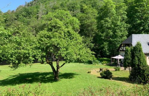 Landsitz Kammerburg - Foto 39