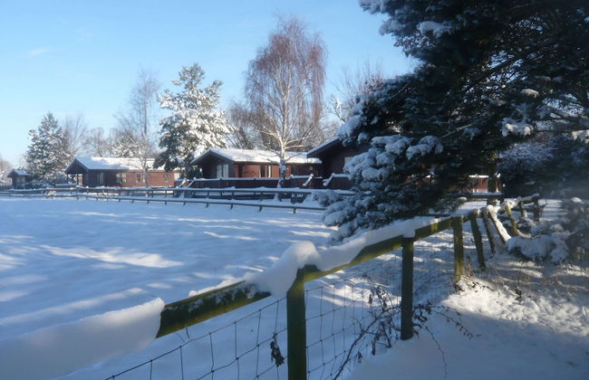 Spacious Cottage With Sauna Looking out on Astonishing Grasslands - Photo 52