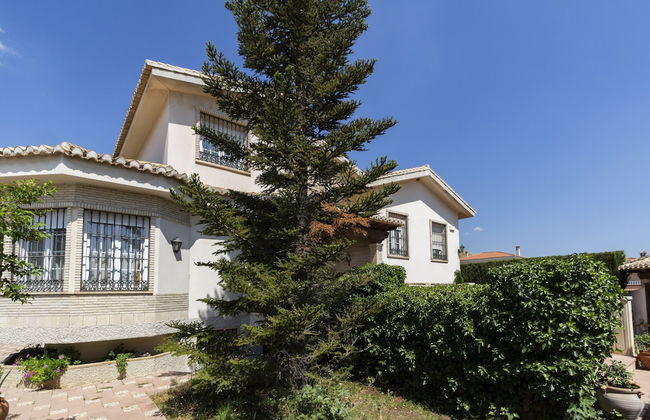 Villa Del Mamut - Foto 48