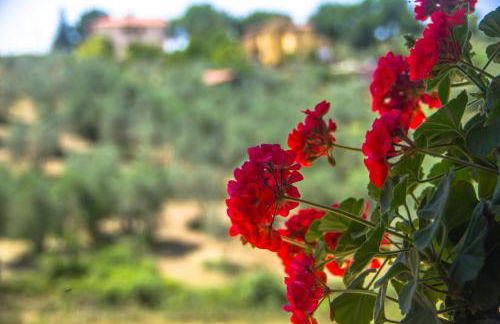 Borgo Buciardella - Foto 46