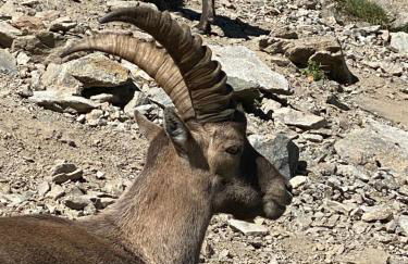 Foux d Allos Centre de la Station 4 Pièces 8 Personnes - Foto 31
