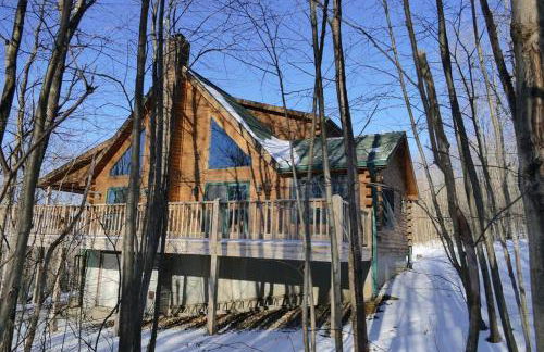 Mountain Maryland! Bear in the Woods - Foto 21