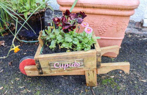 Cupid's Cottage - Foto 2