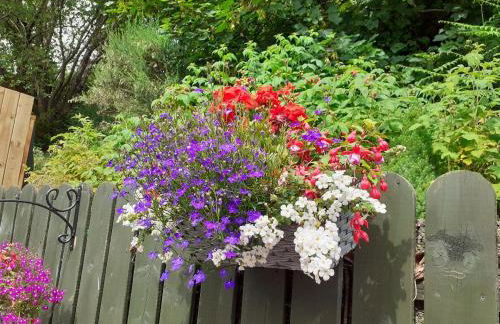 Torrent Cottage - Foto 11