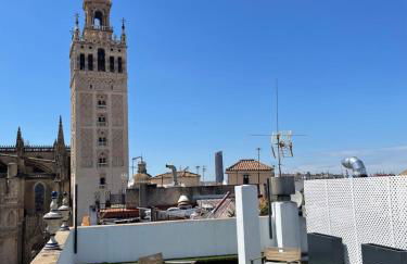 El Ático de las Estrellas 3ºB - Photo 11