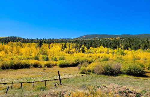 Deck and Mtn Views! Family A-Frame Cabin in Bailey - Foto 24