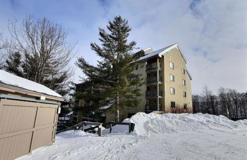 The Grizz AC Pool Sauna Gym Near Resort - Photo 42