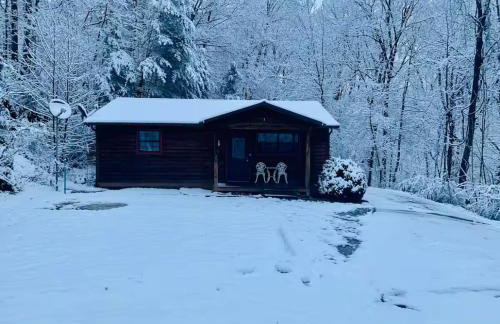 Smoky Mountain Cabin with HOTTUB - Photo 18