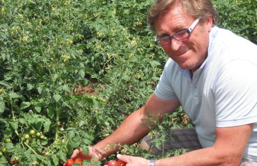 Azienda Agrituristica Baglio Carta - Foto 72