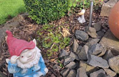 Pension Andrea - Photo 7