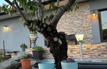 Quinta Santo Antonio - Foto 49