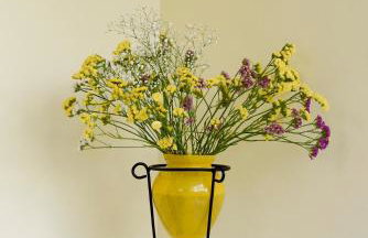 Mother's House - Photo 52