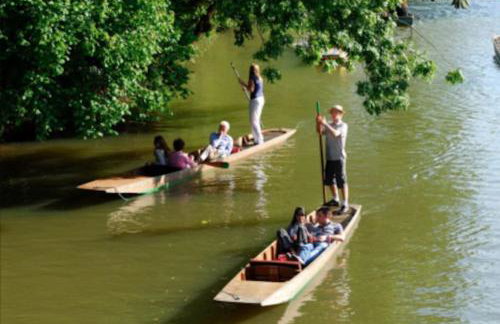 Lovely two Bedroom Flat, Fernhill Court North Oxford - Foto 52