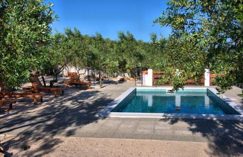 Tvrdic Honey - Photo 48