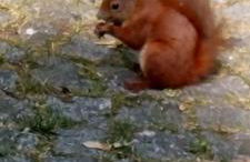 Taurasteinblick - Foto 22