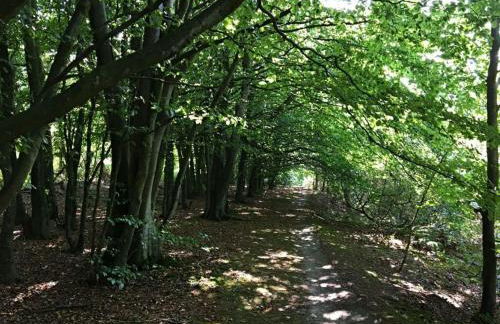 heckohus Comfortable holiday residence - Foto 17