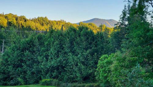 Near Trails and VAST Access! Modern Burke Home Base - Foto 3