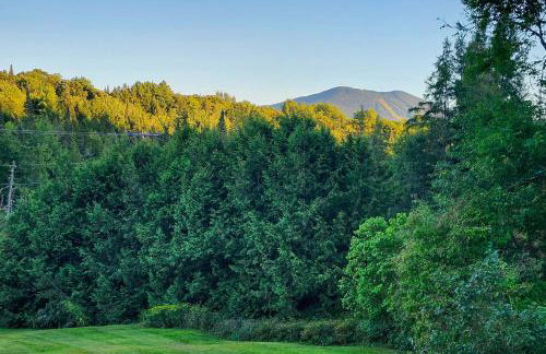 Near Trails and VAST Access! Modern Burke Home Base - Foto 3