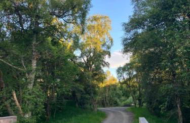 Luxury Pod 3 - Foto 23