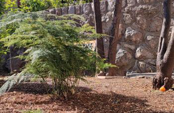 Villa Arancia - Foto 7