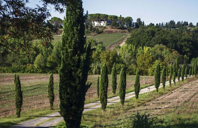 Villa in Tuscany Near Medieval Ghizzano - Foto 35