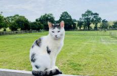 Luxury 2 bed home - Foto 20