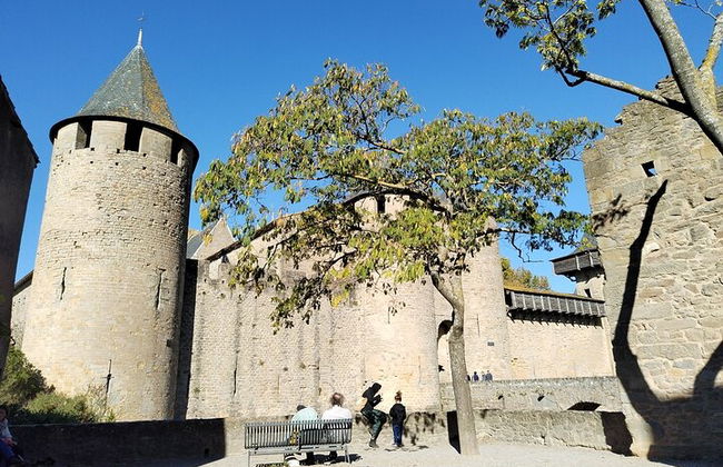Carcassonne: Tour guidato privato esclusivo - Foto 6