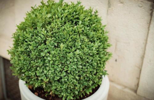 LA TERRAZZA DEI GEMELLI - casa vacanze - Foto 22