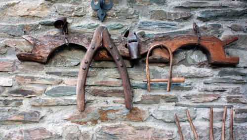 Eth Caneba - Foto 5, Other