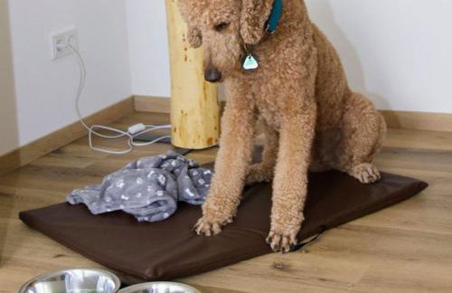 Ferienwohnung Schwarzhof- Hahnekräh am Bostalsee, helle 75 qm & hundefreundlich - Foto 53