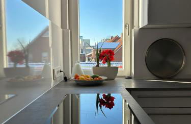 Penthouse Jever - großzügige Dachterrasse - Foto 13