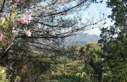 Villa CIGALONS en pleine pinède avec PISCINE - Foto 27