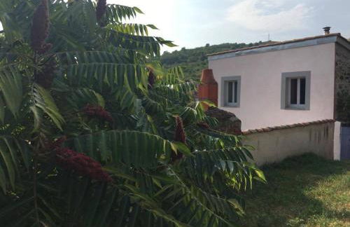 La Champillaumiere - Photo 23